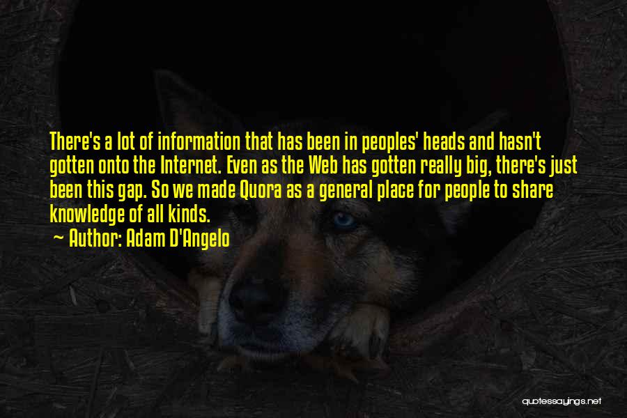 Adam D'Angelo Quotes: There's A Lot Of Information That Has Been In Peoples' Heads And Hasn't Gotten Onto The Internet. Even As The