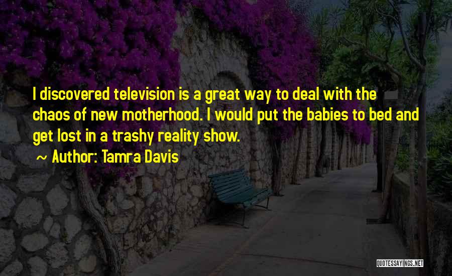 Tamra Davis Quotes: I Discovered Television Is A Great Way To Deal With The Chaos Of New Motherhood. I Would Put The Babies