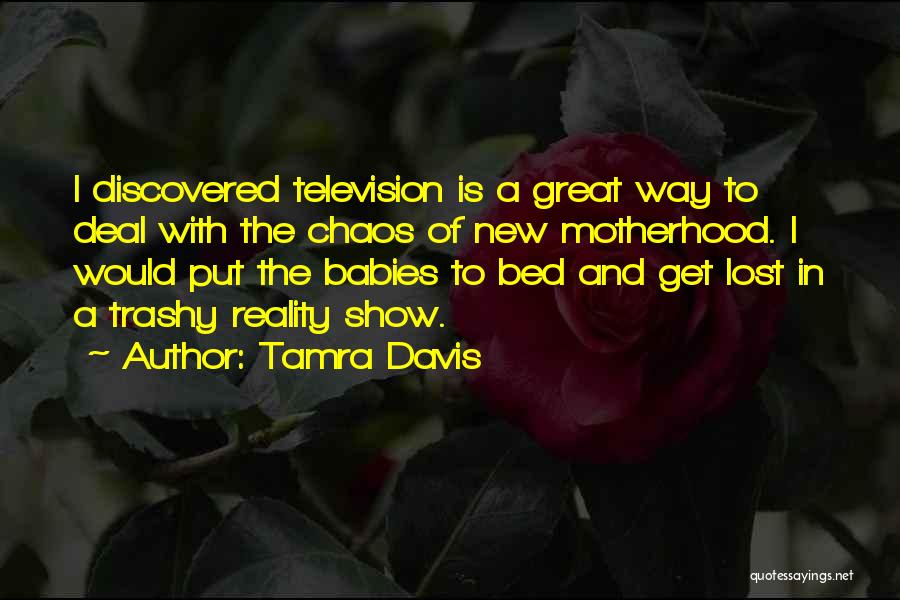 Tamra Davis Quotes: I Discovered Television Is A Great Way To Deal With The Chaos Of New Motherhood. I Would Put The Babies