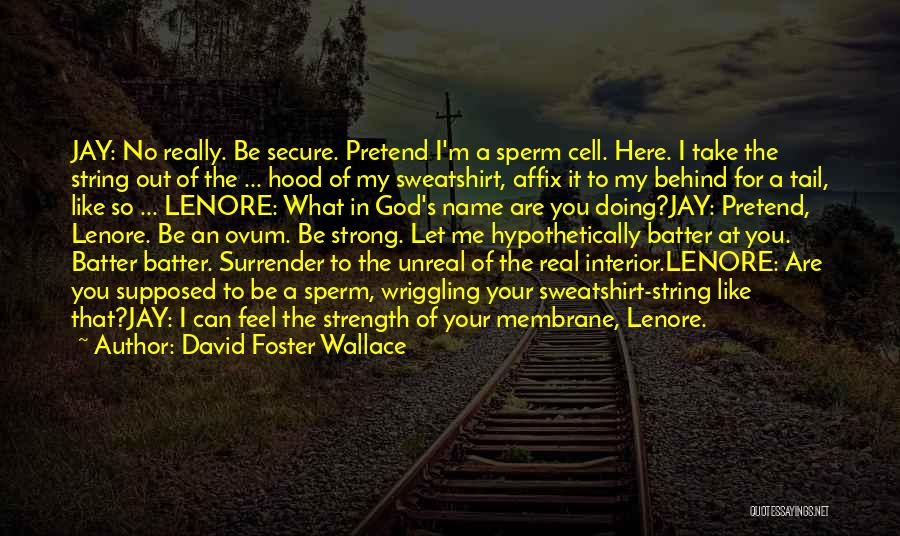 David Foster Wallace Quotes: Jay: No Really. Be Secure. Pretend I'm A Sperm Cell. Here. I Take The String Out Of The ... Hood