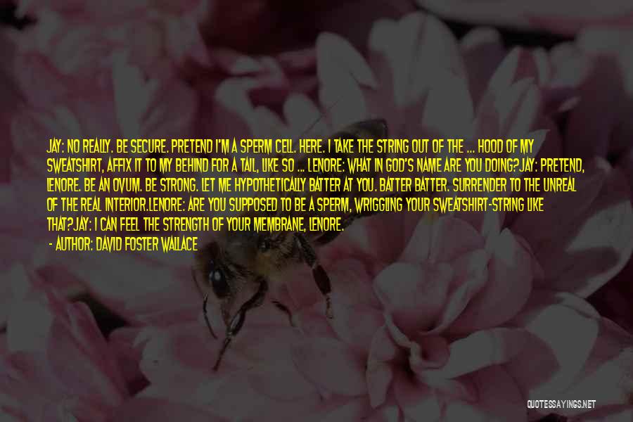 David Foster Wallace Quotes: Jay: No Really. Be Secure. Pretend I'm A Sperm Cell. Here. I Take The String Out Of The ... Hood