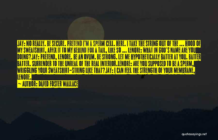 David Foster Wallace Quotes: Jay: No Really. Be Secure. Pretend I'm A Sperm Cell. Here. I Take The String Out Of The ... Hood