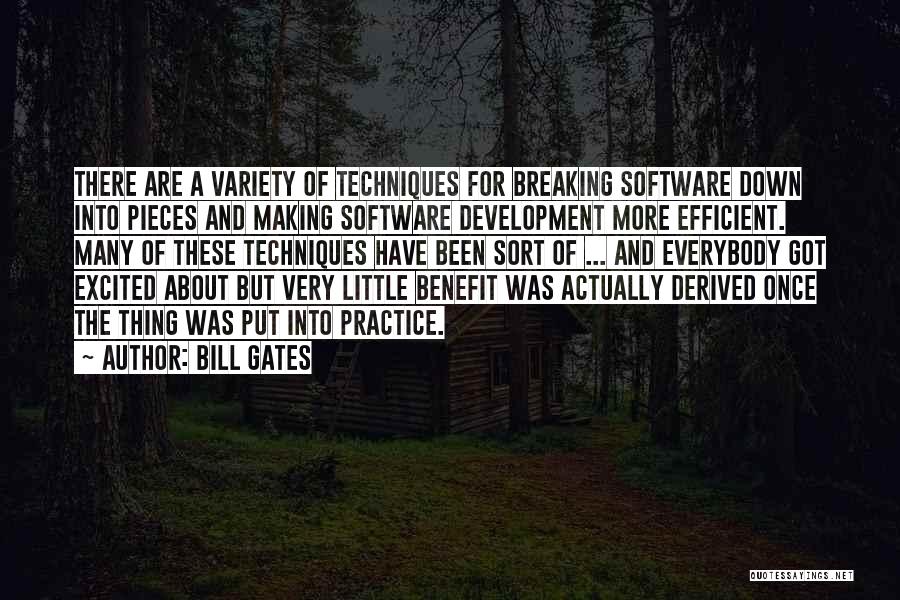 Bill Gates Quotes: There Are A Variety Of Techniques For Breaking Software Down Into Pieces And Making Software Development More Efficient. Many Of