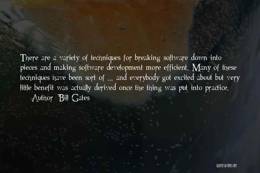 Bill Gates Quotes: There Are A Variety Of Techniques For Breaking Software Down Into Pieces And Making Software Development More Efficient. Many Of