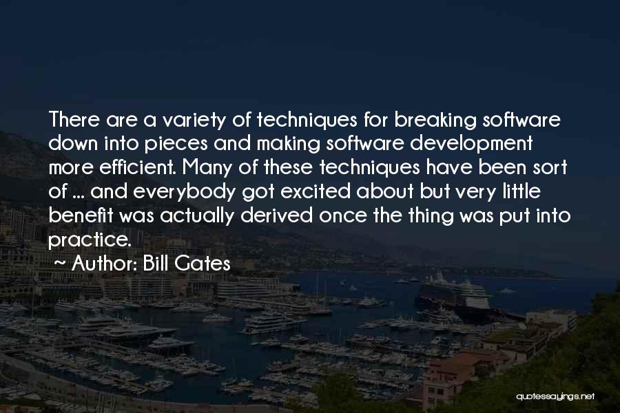 Bill Gates Quotes: There Are A Variety Of Techniques For Breaking Software Down Into Pieces And Making Software Development More Efficient. Many Of