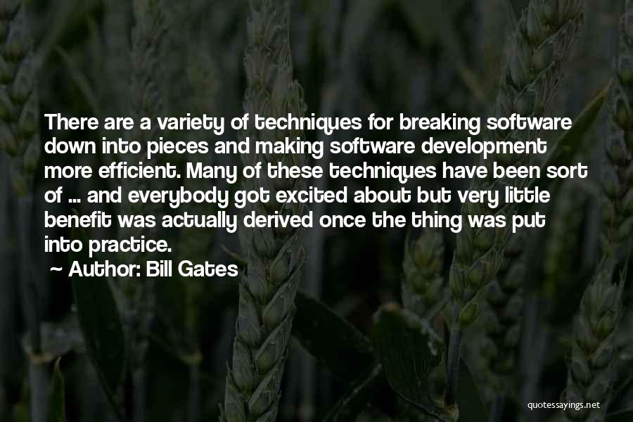 Bill Gates Quotes: There Are A Variety Of Techniques For Breaking Software Down Into Pieces And Making Software Development More Efficient. Many Of