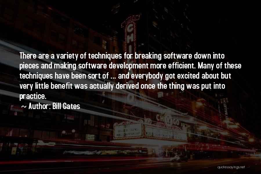 Bill Gates Quotes: There Are A Variety Of Techniques For Breaking Software Down Into Pieces And Making Software Development More Efficient. Many Of