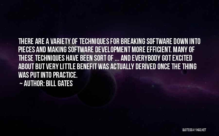 Bill Gates Quotes: There Are A Variety Of Techniques For Breaking Software Down Into Pieces And Making Software Development More Efficient. Many Of