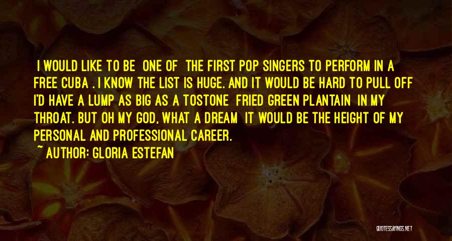 Gloria Estefan Quotes: [i Would Like To Be] One Of [the First Pop Singers To Perform In A Free Cuba]. I Know The