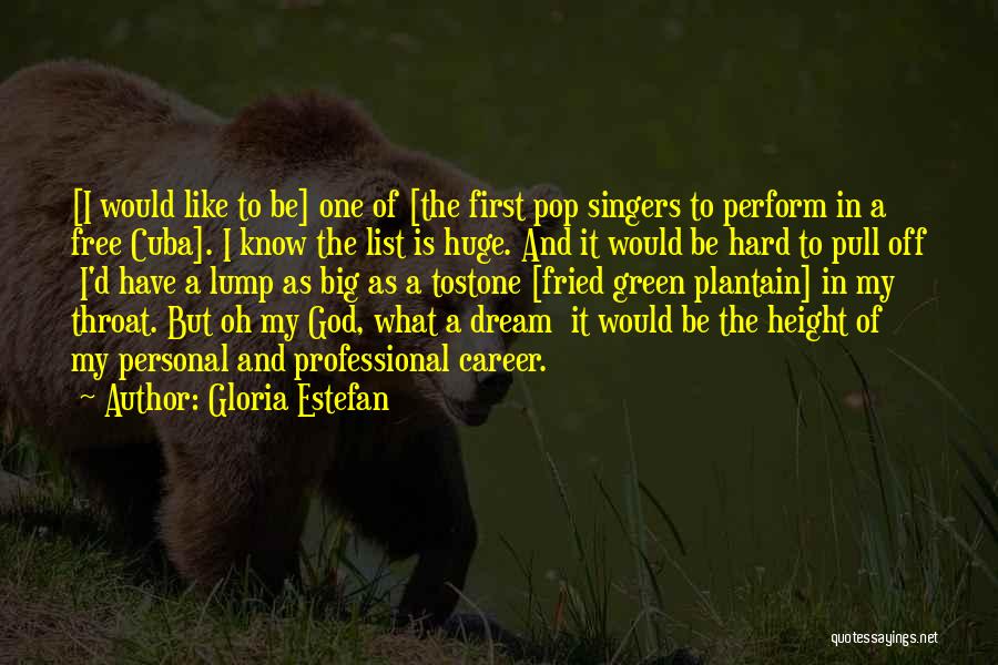 Gloria Estefan Quotes: [i Would Like To Be] One Of [the First Pop Singers To Perform In A Free Cuba]. I Know The