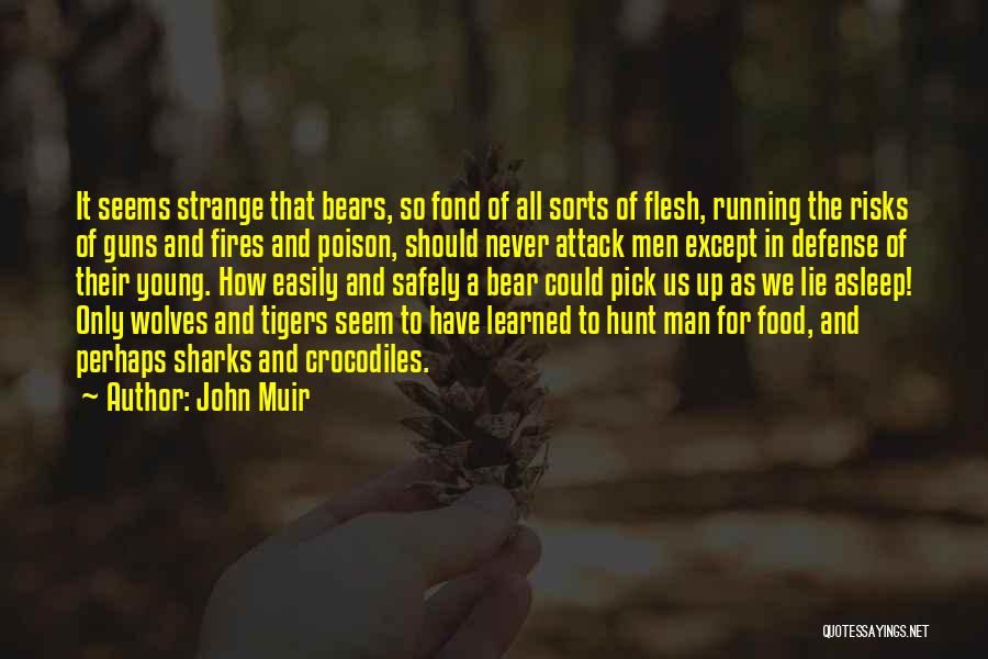 John Muir Quotes: It Seems Strange That Bears, So Fond Of All Sorts Of Flesh, Running The Risks Of Guns And Fires And