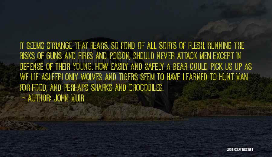John Muir Quotes: It Seems Strange That Bears, So Fond Of All Sorts Of Flesh, Running The Risks Of Guns And Fires And