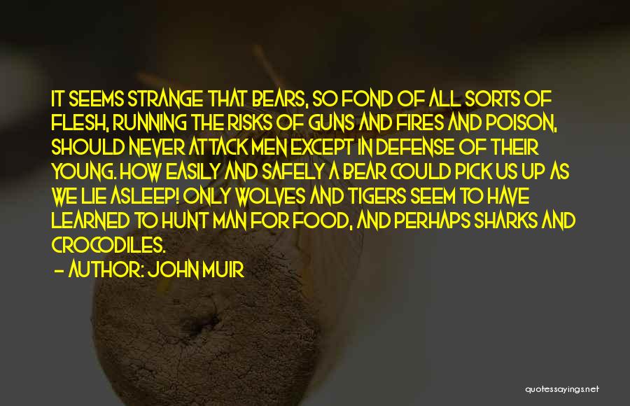 John Muir Quotes: It Seems Strange That Bears, So Fond Of All Sorts Of Flesh, Running The Risks Of Guns And Fires And