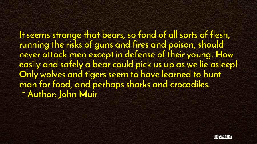 John Muir Quotes: It Seems Strange That Bears, So Fond Of All Sorts Of Flesh, Running The Risks Of Guns And Fires And