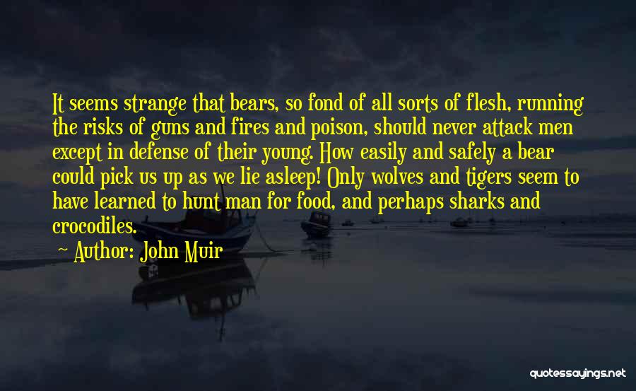 John Muir Quotes: It Seems Strange That Bears, So Fond Of All Sorts Of Flesh, Running The Risks Of Guns And Fires And