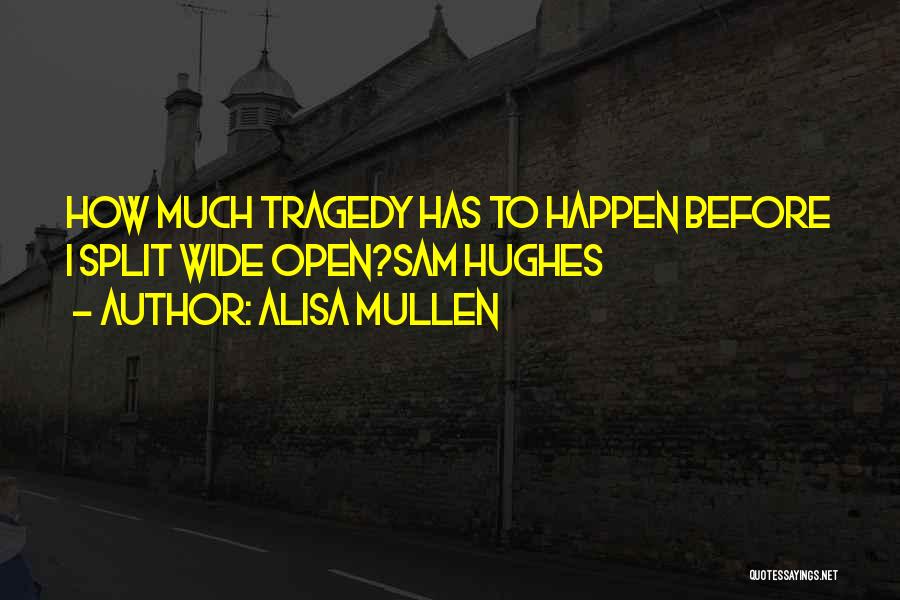 Alisa Mullen Quotes: How Much Tragedy Has To Happen Before I Split Wide Open?sam Hughes