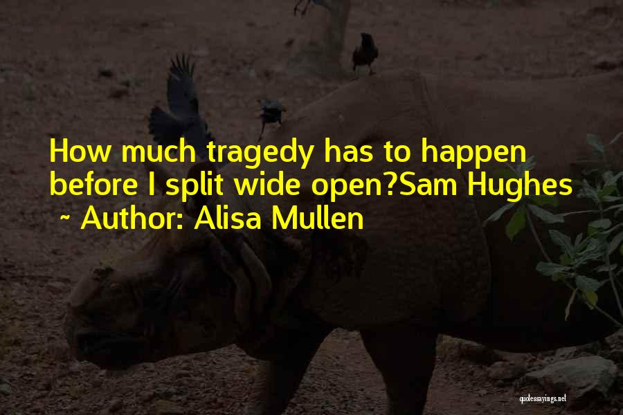 Alisa Mullen Quotes: How Much Tragedy Has To Happen Before I Split Wide Open?sam Hughes
