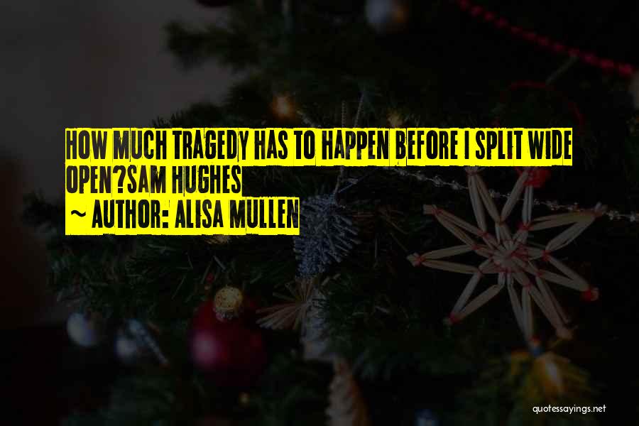 Alisa Mullen Quotes: How Much Tragedy Has To Happen Before I Split Wide Open?sam Hughes