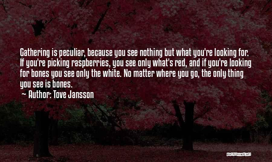 Tove Jansson Quotes: Gathering Is Peculiar, Because You See Nothing But What You're Looking For. If You're Picking Raspberries, You See Only What's