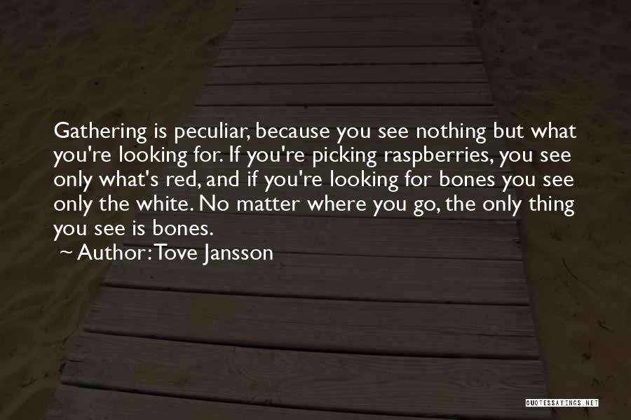 Tove Jansson Quotes: Gathering Is Peculiar, Because You See Nothing But What You're Looking For. If You're Picking Raspberries, You See Only What's