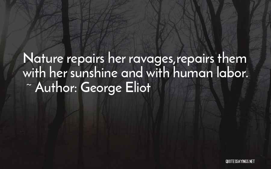 George Eliot Quotes: Nature Repairs Her Ravages,repairs Them With Her Sunshine And With Human Labor.