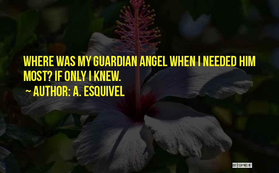 A. Esquivel Quotes: Where Was My Guardian Angel When I Needed Him Most? If Only I Knew.