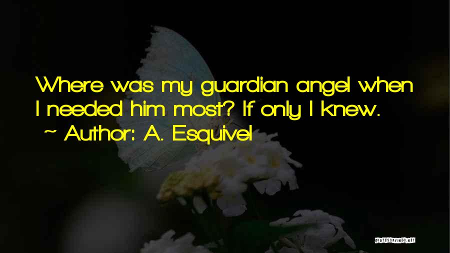 A. Esquivel Quotes: Where Was My Guardian Angel When I Needed Him Most? If Only I Knew.