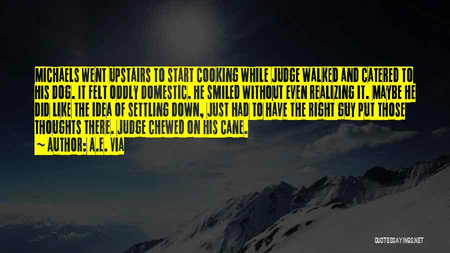 A.E. Via Quotes: Michaels Went Upstairs To Start Cooking While Judge Walked And Catered To His Dog. It Felt Oddly Domestic. He Smiled