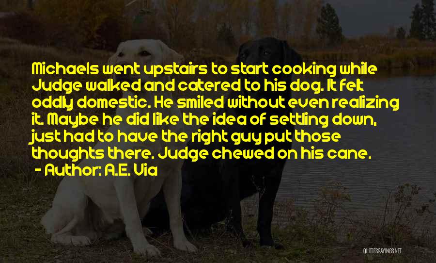 A.E. Via Quotes: Michaels Went Upstairs To Start Cooking While Judge Walked And Catered To His Dog. It Felt Oddly Domestic. He Smiled