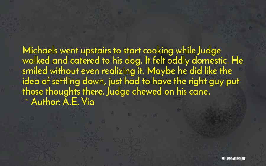 A.E. Via Quotes: Michaels Went Upstairs To Start Cooking While Judge Walked And Catered To His Dog. It Felt Oddly Domestic. He Smiled