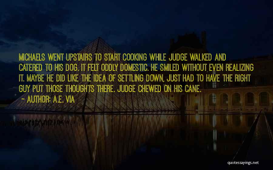 A.E. Via Quotes: Michaels Went Upstairs To Start Cooking While Judge Walked And Catered To His Dog. It Felt Oddly Domestic. He Smiled