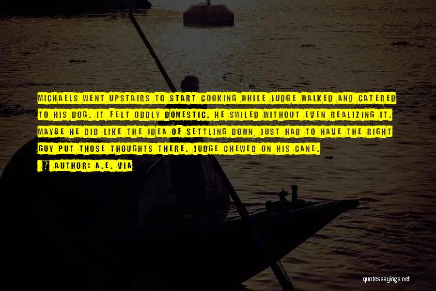 A.E. Via Quotes: Michaels Went Upstairs To Start Cooking While Judge Walked And Catered To His Dog. It Felt Oddly Domestic. He Smiled