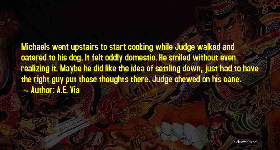 A.E. Via Quotes: Michaels Went Upstairs To Start Cooking While Judge Walked And Catered To His Dog. It Felt Oddly Domestic. He Smiled