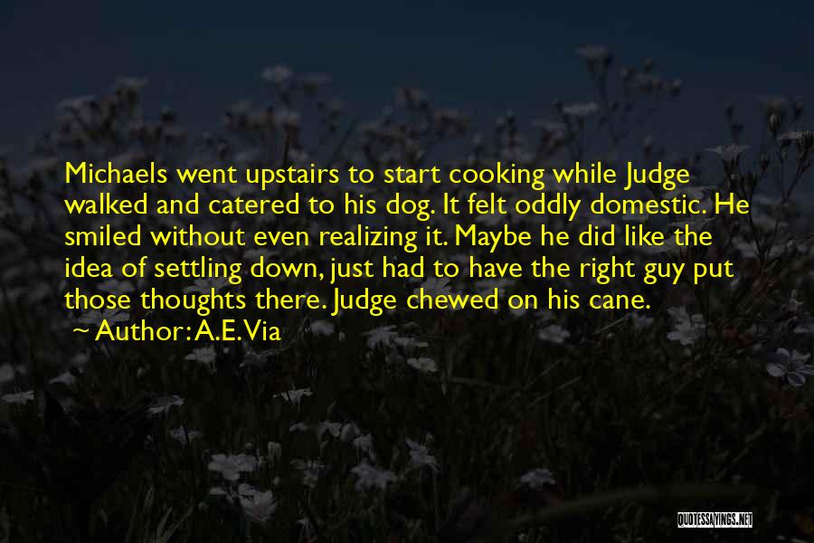 A.E. Via Quotes: Michaels Went Upstairs To Start Cooking While Judge Walked And Catered To His Dog. It Felt Oddly Domestic. He Smiled