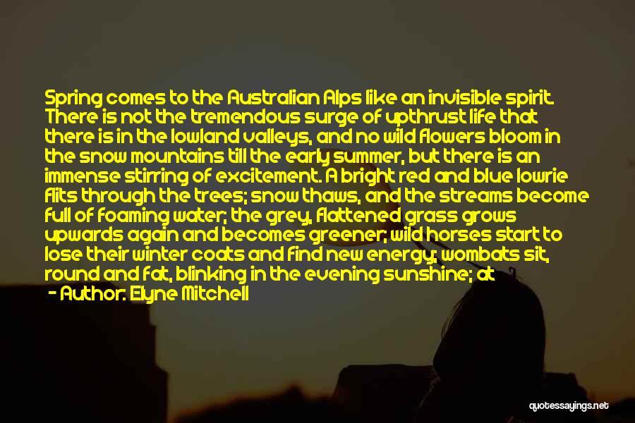 Elyne Mitchell Quotes: Spring Comes To The Australian Alps Like An Invisible Spirit. There Is Not The Tremendous Surge Of Upthrust Life That