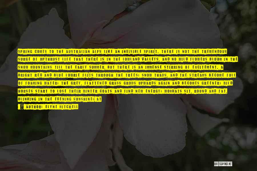 Elyne Mitchell Quotes: Spring Comes To The Australian Alps Like An Invisible Spirit. There Is Not The Tremendous Surge Of Upthrust Life That