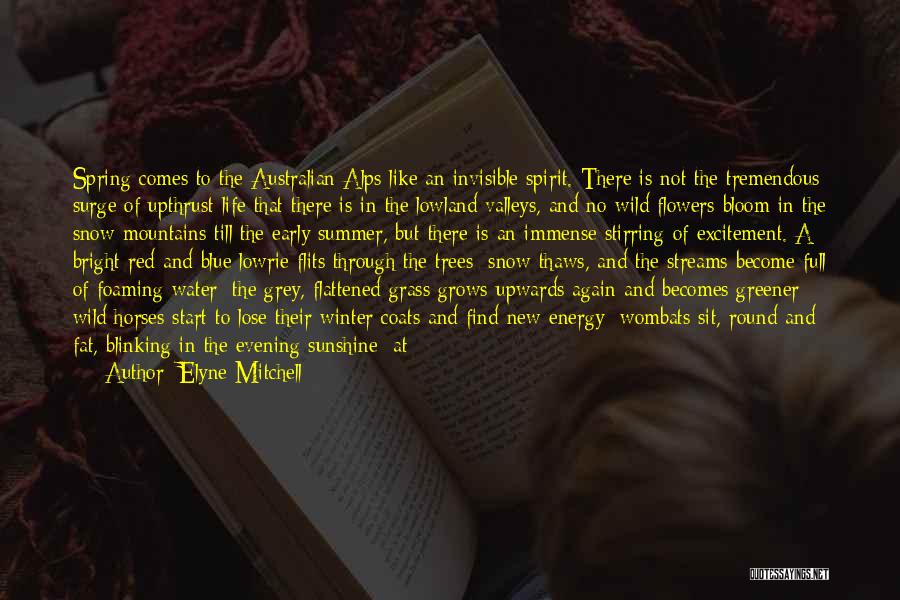 Elyne Mitchell Quotes: Spring Comes To The Australian Alps Like An Invisible Spirit. There Is Not The Tremendous Surge Of Upthrust Life That