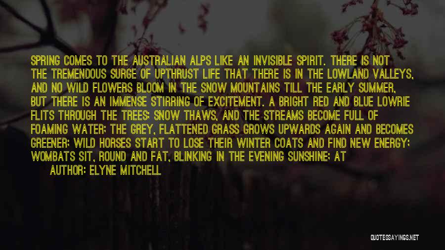 Elyne Mitchell Quotes: Spring Comes To The Australian Alps Like An Invisible Spirit. There Is Not The Tremendous Surge Of Upthrust Life That