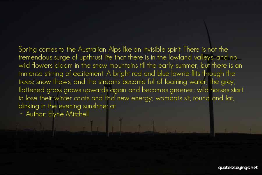 Elyne Mitchell Quotes: Spring Comes To The Australian Alps Like An Invisible Spirit. There Is Not The Tremendous Surge Of Upthrust Life That