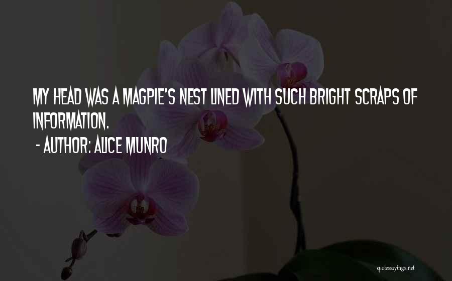 Alice Munro Quotes: My Head Was A Magpie's Nest Lined With Such Bright Scraps Of Information.