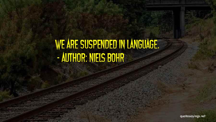 Niels Bohr Quotes: We Are Suspended In Language.