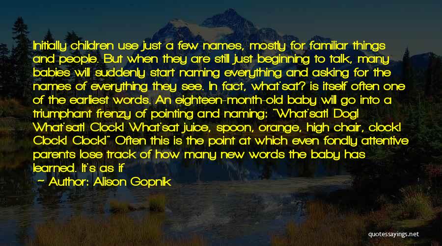 Alison Gopnik Quotes: Initially Children Use Just A Few Names, Mostly For Familiar Things And People. But When They Are Still Just Beginning