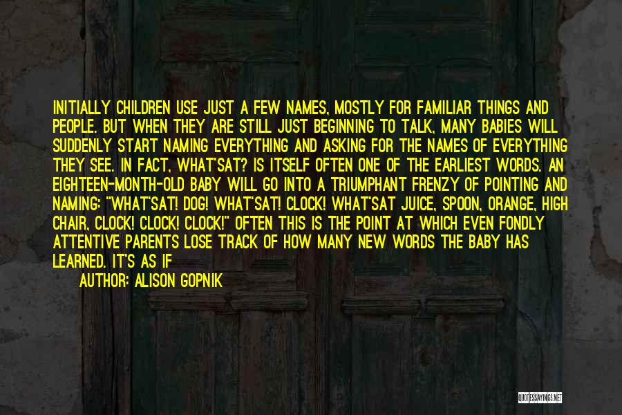 Alison Gopnik Quotes: Initially Children Use Just A Few Names, Mostly For Familiar Things And People. But When They Are Still Just Beginning