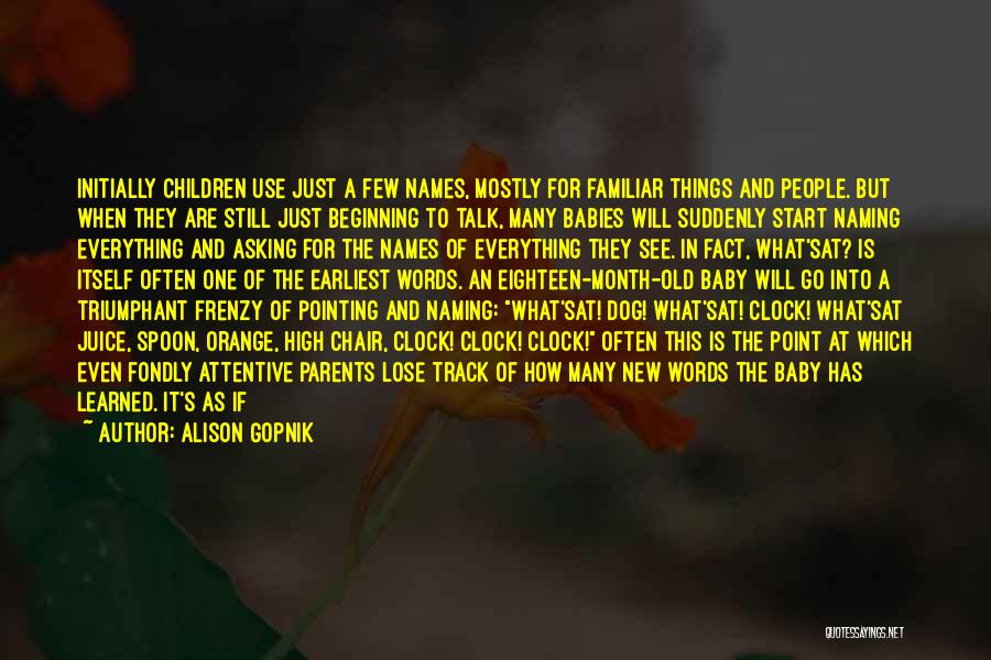 Alison Gopnik Quotes: Initially Children Use Just A Few Names, Mostly For Familiar Things And People. But When They Are Still Just Beginning