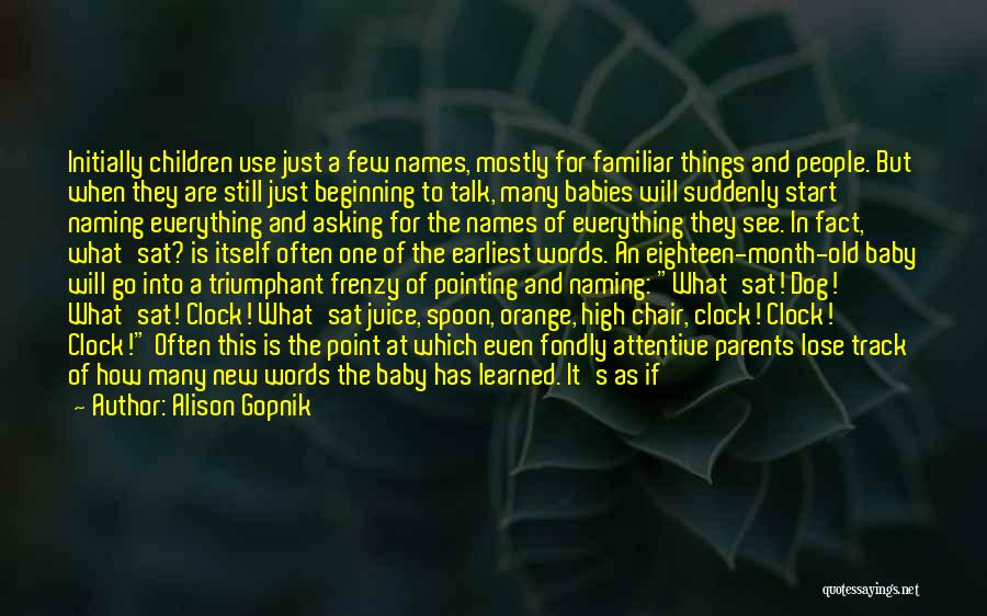 Alison Gopnik Quotes: Initially Children Use Just A Few Names, Mostly For Familiar Things And People. But When They Are Still Just Beginning