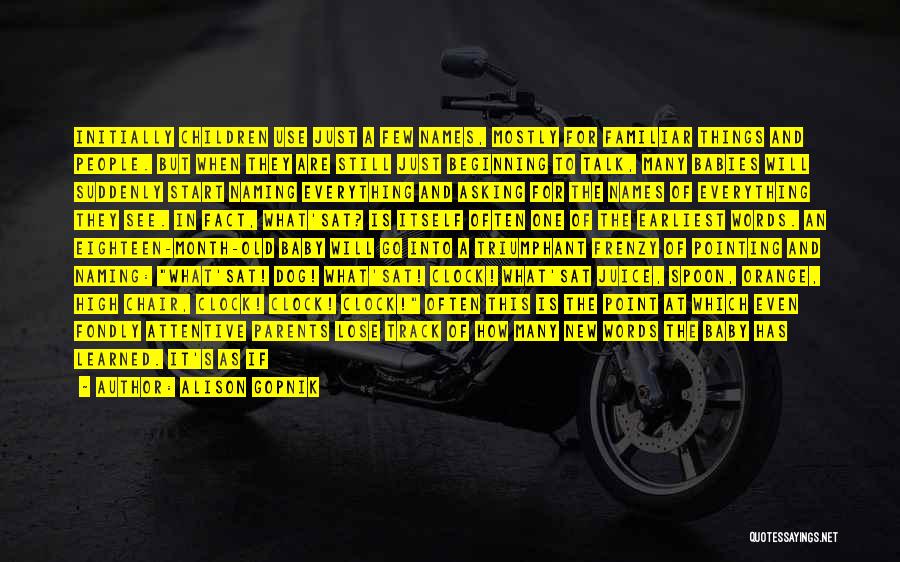 Alison Gopnik Quotes: Initially Children Use Just A Few Names, Mostly For Familiar Things And People. But When They Are Still Just Beginning