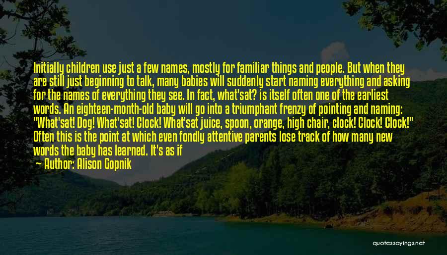 Alison Gopnik Quotes: Initially Children Use Just A Few Names, Mostly For Familiar Things And People. But When They Are Still Just Beginning