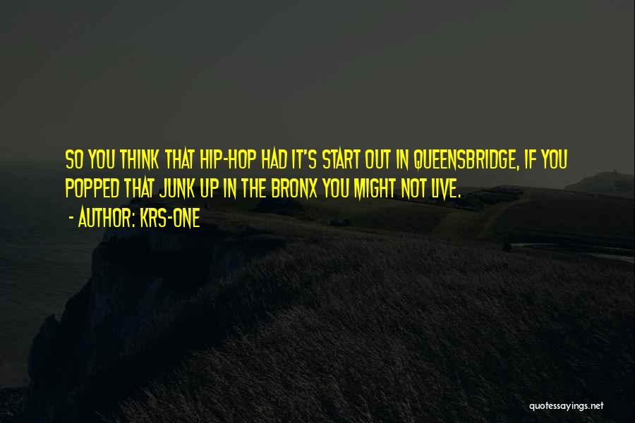 KRS-One Quotes: So You Think That Hip-hop Had It's Start Out In Queensbridge, If You Popped That Junk Up In The Bronx