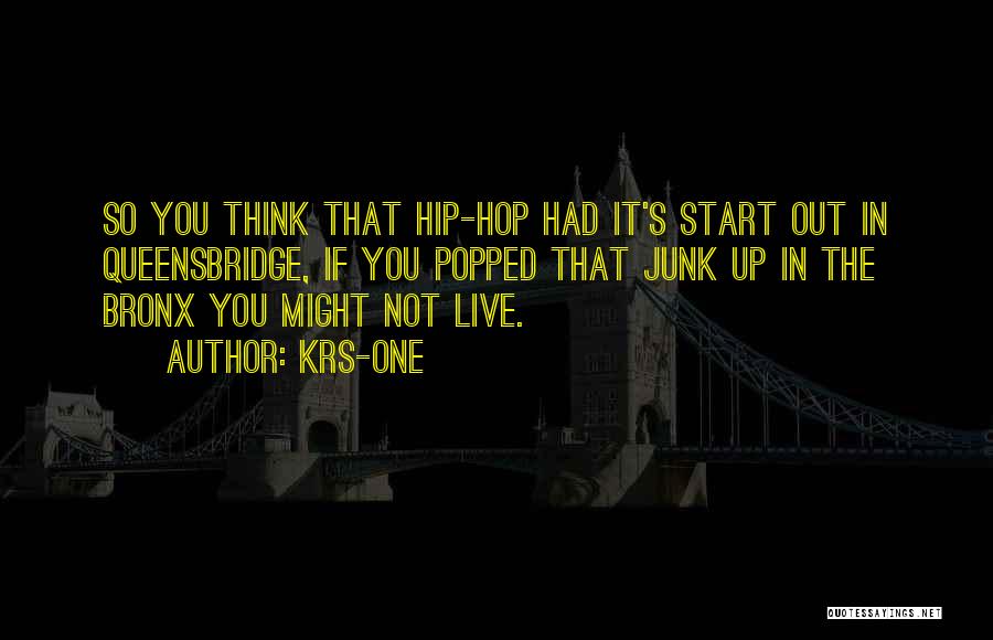 KRS-One Quotes: So You Think That Hip-hop Had It's Start Out In Queensbridge, If You Popped That Junk Up In The Bronx