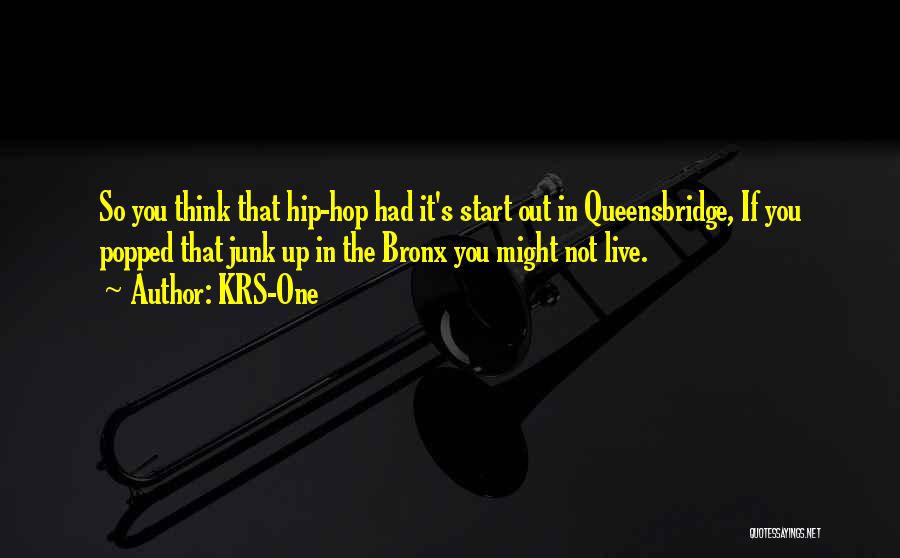 KRS-One Quotes: So You Think That Hip-hop Had It's Start Out In Queensbridge, If You Popped That Junk Up In The Bronx